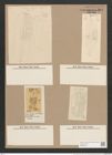 Navicula collisiana O.M. (de-Toni-Nr.: Genus 1, Species 292) Zeichnungen Sammlung Grunow Nr. 664 (NHMW-BOT-W0367035)